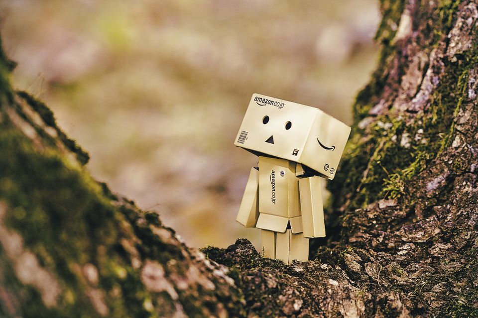 Amazon boxes connected to make a person and placed on a tree branch looking up to sky